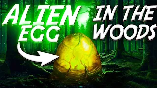 ALIEN EGG IN THE WOODS!