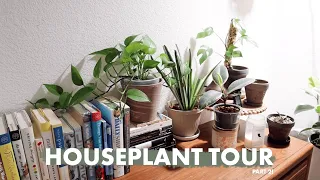 My Houseplant Tour Part 2! | Summer 2020 - Bedroom & Bathroom | Bee's House of Plants