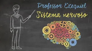 SISTEMA NERVOSO