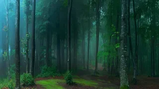 Soothing Celtic Music -  Forest of Whispers | Relaxing, Sleep, Peaceful ★124