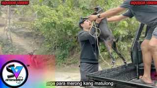 Kalderatas nga Kanding