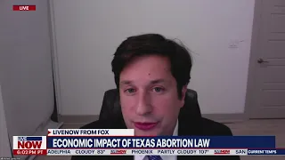 Expert: Economic Impact of Texas Abortion Law