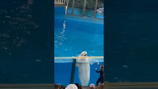 😱Cute Beluga Whale Making Sounds #shorts #subscribe #trending #viralshort #viral #familyvlog