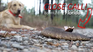 Scouting Public Land Hogs & Hiking The Florida Scrub