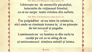 Paraclisul Sfântului Iosif cel Nou de la Partoș, Mitropolitul Timișoarei.