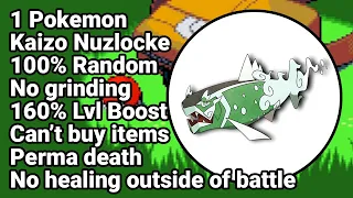 I Will Beat The Hardest Pokemon Challenge • Emerald Kaizo Ironmon