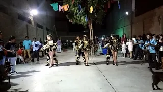 JILGUERO FLORES COREOGRAFIA