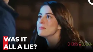 Did You Pretend To Be In Love With Me? - Cherry Season