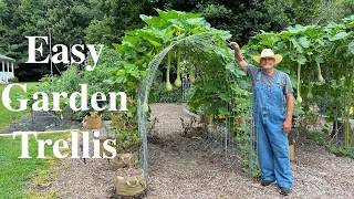 Using Cattle Panels To Make A Garden Trellis!