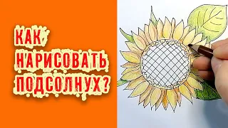Как нарисовать подсолнух карандашами | How to draw a sunflower with pencils