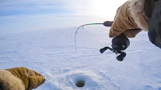 ПОИГРАЛ - ОСТАНОВИЛ - УДАР судака с ГЛУБИНЫ. Рыбалка на реке зимой со льда в 2024