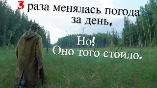 Поход На Рыбалку К Дальним Таежным Озерам. UHD