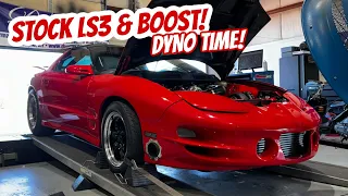 Time To Dyno Test: Stock Bottom End LS3 & 88mm Turbocharger!