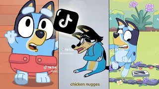 Bluey TikToks - Best Tiktok Compilation 2023 #73