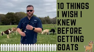 10 Things I Wish I Had Known Before Buying Goats