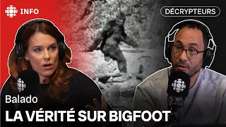 De nouvelles informations sur l'identité du Bigfoot dévoilées | Décrypteurs