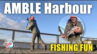 Harbour Fishing | Plenty of Fish