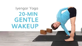 20-Min Gentle Wakeup--Iyengar Yoga for Beginners