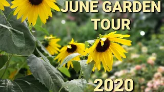 June Garden Tour 2020