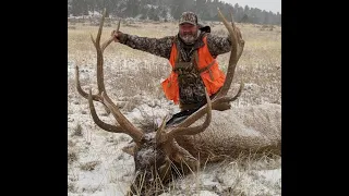 2020 Montana opening day giant bull elk public land. Congrats!