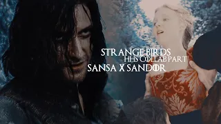 {HHS Collab Part} Strange Birds | Sansa x Sandor