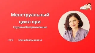 МЕСЯЧНЫЕ при Грудном Вскармливании, когда начинаются | Когда восстанавливается ЦИКЛ при ГВ