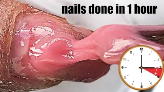 LONG GEL NAILS DONE IN ONE HOUR AT HOME WITH SIMPLE PRODUCTS DIY TUTORIAL 2022