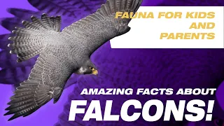 Animals. Amazing Facts. Falcons