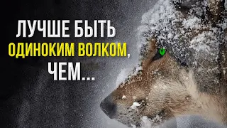 🐺 Мысли волка | Лучшие цитаты про одиночество со смыслом