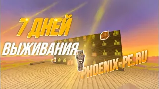 7 Дней безумной анархии 👑 // Phoenix-pe.ru