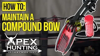 How to Maintain a Compound Bow