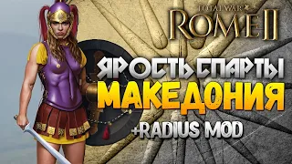 ЯРОСТЬ СПАРТЫ МАКЕДОНИЯ RADIUS MOD + UNBLOCK Total War: Rome 2
