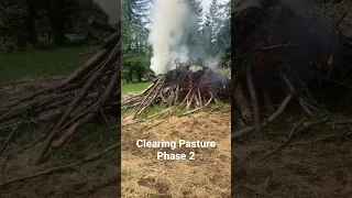 Revitalizing Old Neglected Pasture . A Rotational Grazing Small Scale Regenerative Agriculture  Op