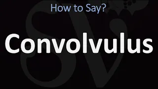 How to Pronounce Convolvulus? (CORRECTLY)