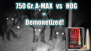 Hog Hunting with the 50 BMG! 750 grain Hornady AMAX = Total Devastation!