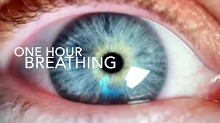 ONE HOUR BREATHING: Inhaled Exhalation