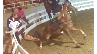 What Caused This "Big Lick" Tennessee Walking Horse To Throw His Rider Asheville, NC???