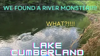 WE FOUND A RIVER MOSTER WHILE BASS FISHING!!!(Lake Cumberland)
