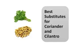 Best Substitutes for Coriander and Cilantro