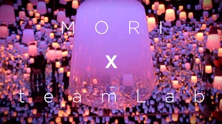 MORI Building DIGITAL ART MUSEUM: teamLab Borderless