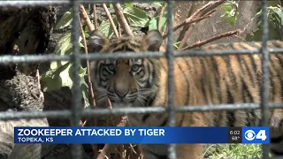 Zookeeper suffered 'lacerations and punctures' in a tiger attack at the zoo in Topeka, Kansas