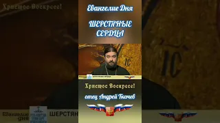 ШЕРСТЯНЫЕ СЕРДЦА. Евангелие Дня ❤️🇷🇺 отец Андрей Ткачев