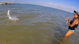 We Found The Fish Again During Red Tide @Sanibel Florida