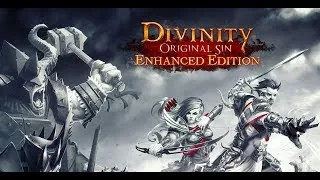 Divinity: Original Sin Enhanced Edition часть 6
