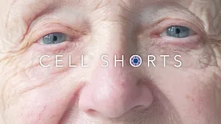 Cell Shorts | Accelerating degenerative eye disease therapies