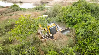 Incredible Bulldozer SHANTUI Clearing Forest And Collecting For First Step Road Building
