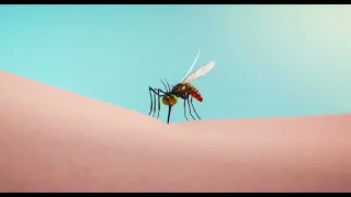 Hotel Transylvania transformania - mosquitos scene￼