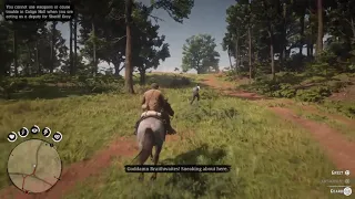 Red Dead Redemption 2 horse crash fail