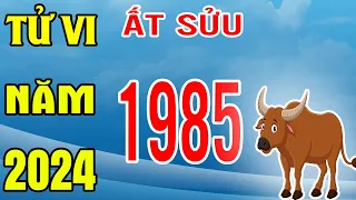 Tử Vi Tuổi Ất Sửu 1985 Năm 2024 Giáp Thìn