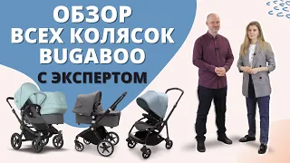 Обзор всех колясок Bugaboo: Lynx, Fox2, Cameleon3, Donkey3, Bee6, Ant и манежа Stardust